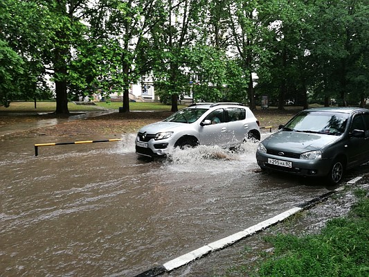 Ольга АВЕРЬЯНОВА