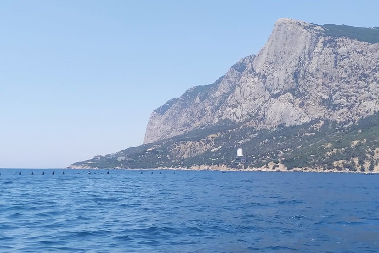 Подводную ферму в бухте Ласпи почти не видно с берега. А зимой в бухту часто заходят дельфины