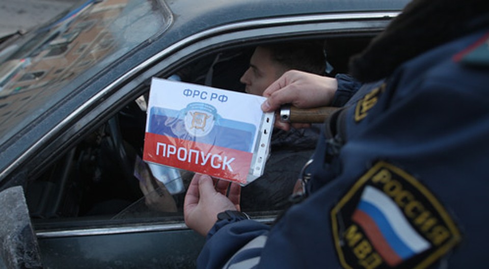 дерево это пропуск на лобовое стекло фото что встречаться молодые