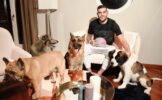 Защитник «Милана» не справился со своим питбулем
