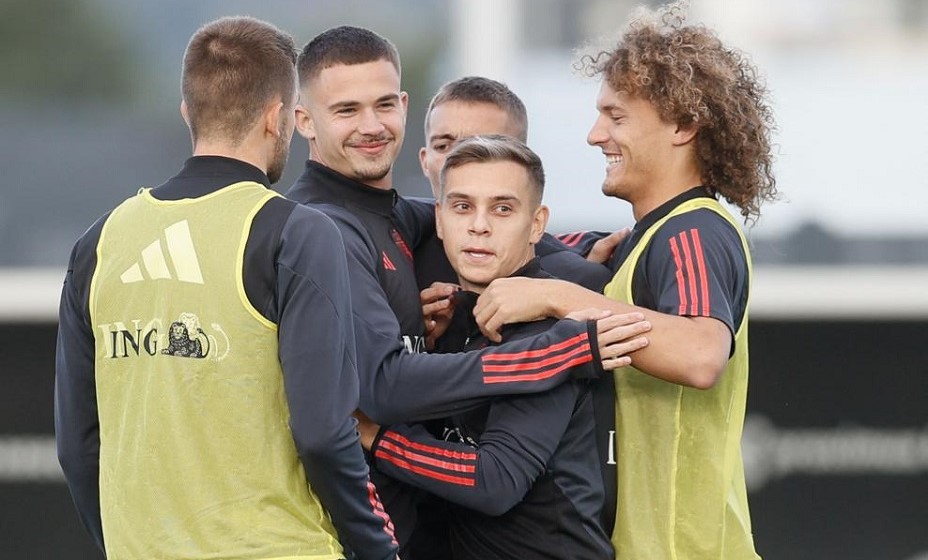 Бельгийцы готовы понизить Уэльс в классе. Фото: УЕФА