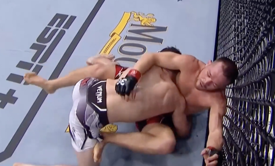 Петр Ян вновь подерется с Двалишвили. Фото: скриншот 