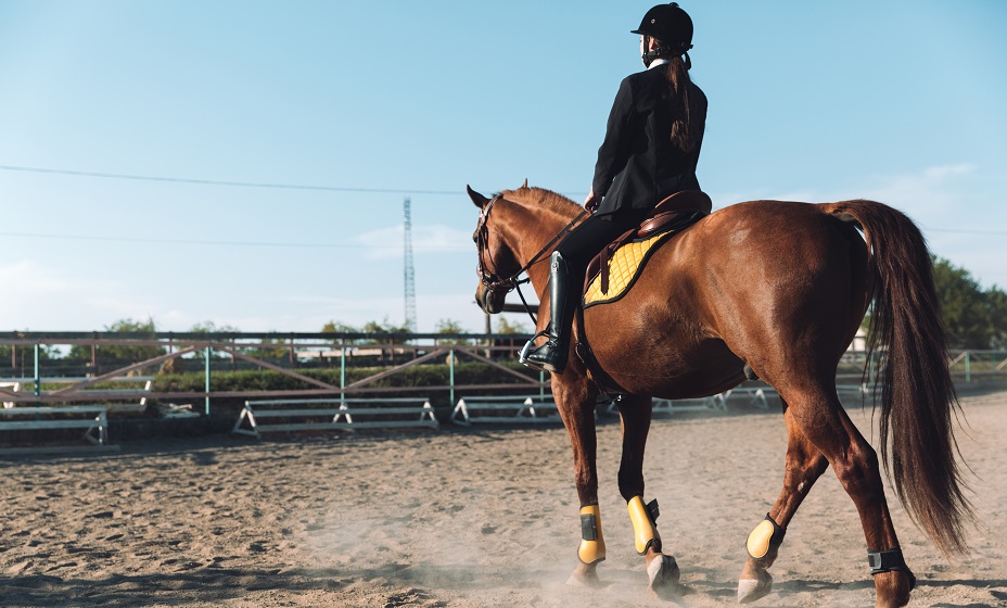 Российская всадница Костыгова получила дисквалификацию за избиение лошади. Фото: Freepik
