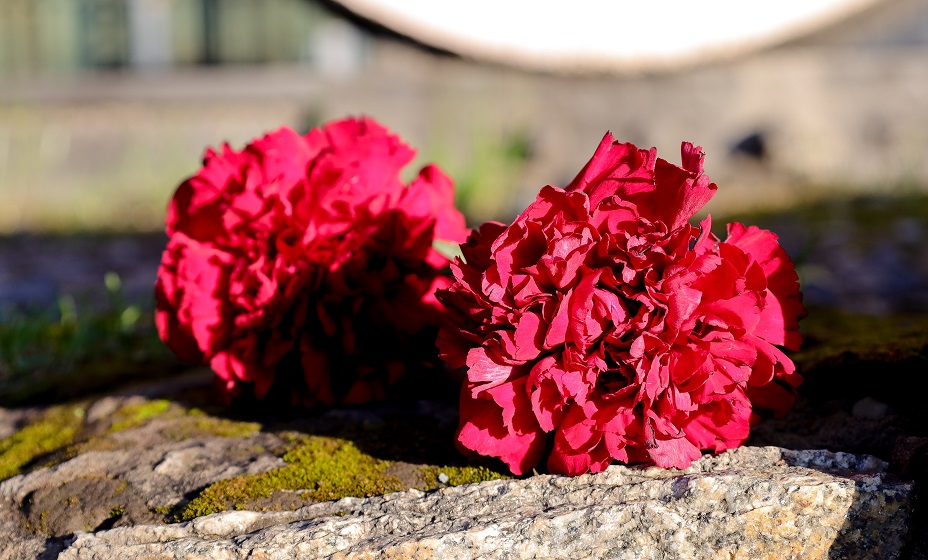 Умерла олимпийская чемпионка Ольга Карасева Фото: Global Look Press