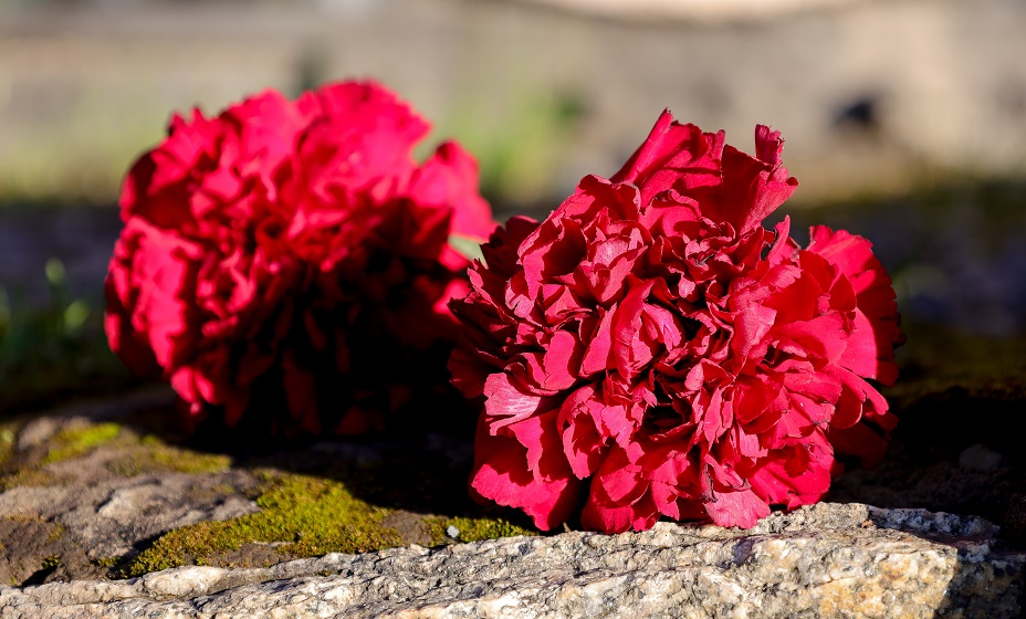 В Брянске умер глава Федерации кикбоксинга Олег Панин. Фото: Global Look Press