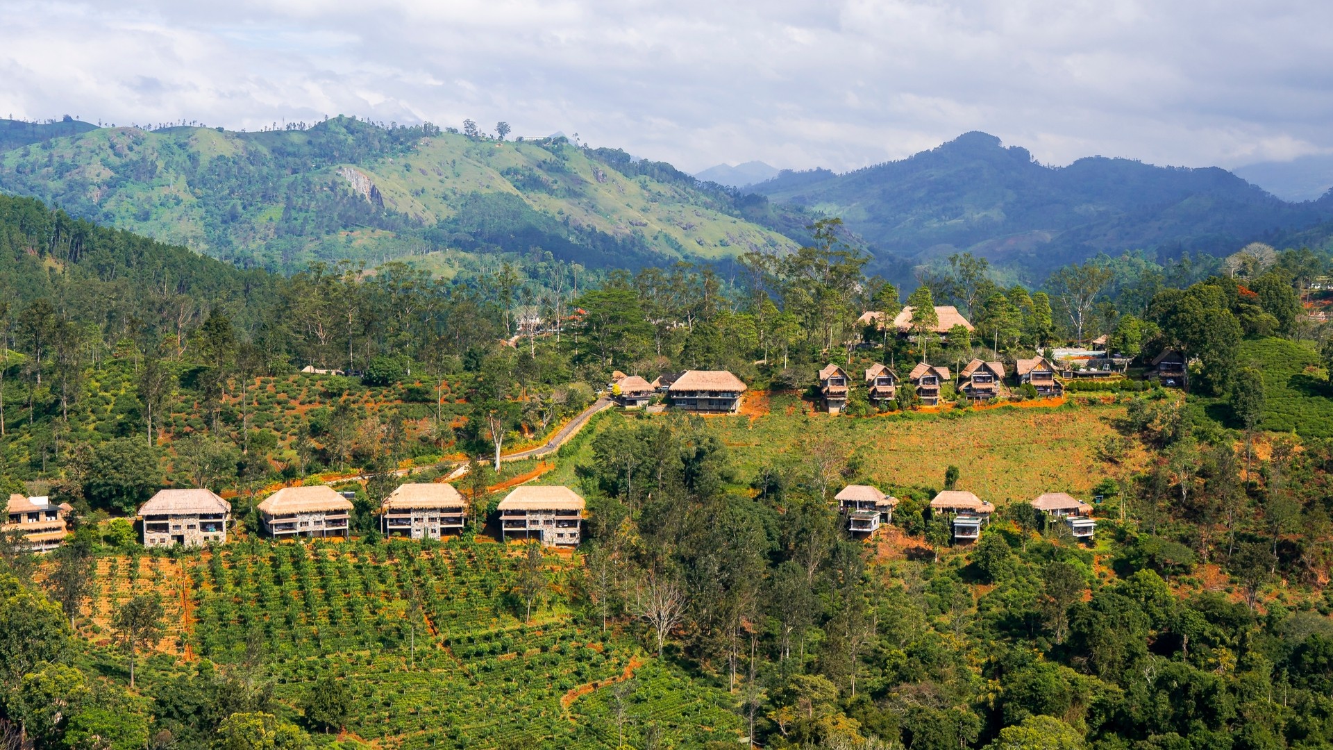 Роскошные эко-лоджии, расположенные на живописных холмах Эллы.