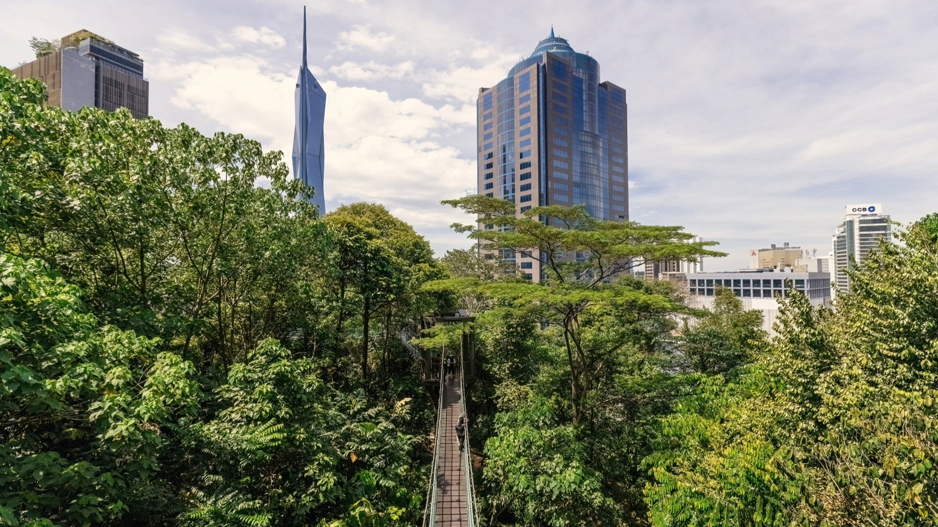 Подвесной пешеходный мост в кронах деревьев в экопарке Куала-Лумпура.