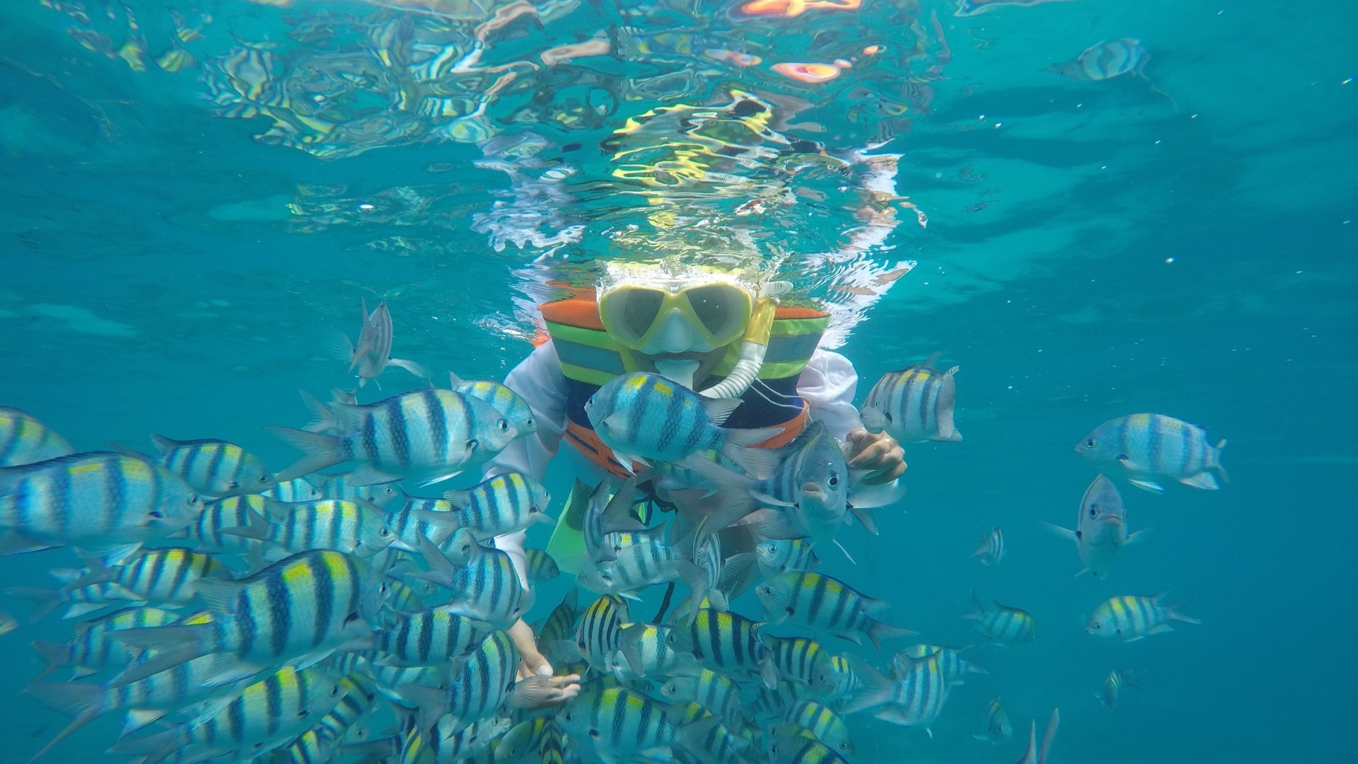 Снорклинг, Сабанг.