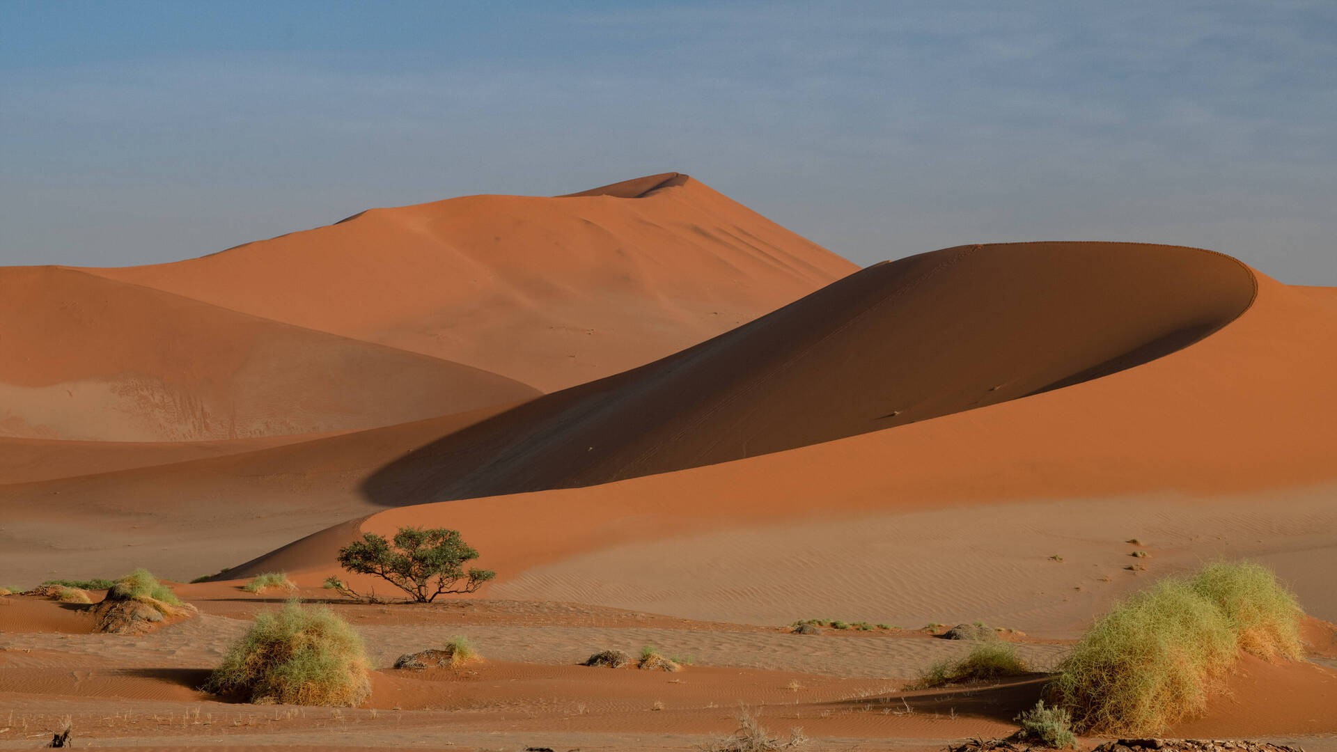 Соссусвлей, Национальный парк Намиб-Науклуфт.
